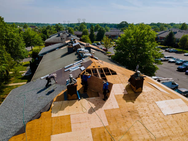 Best Metal Roofing Contractor  in Bernie, MO