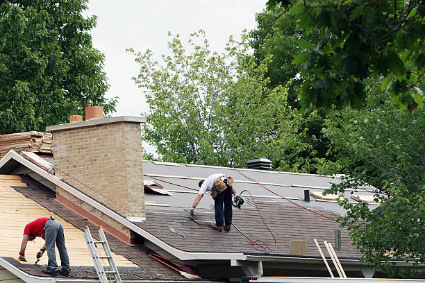 Best Roof Repair Services  in Bernie, MO
